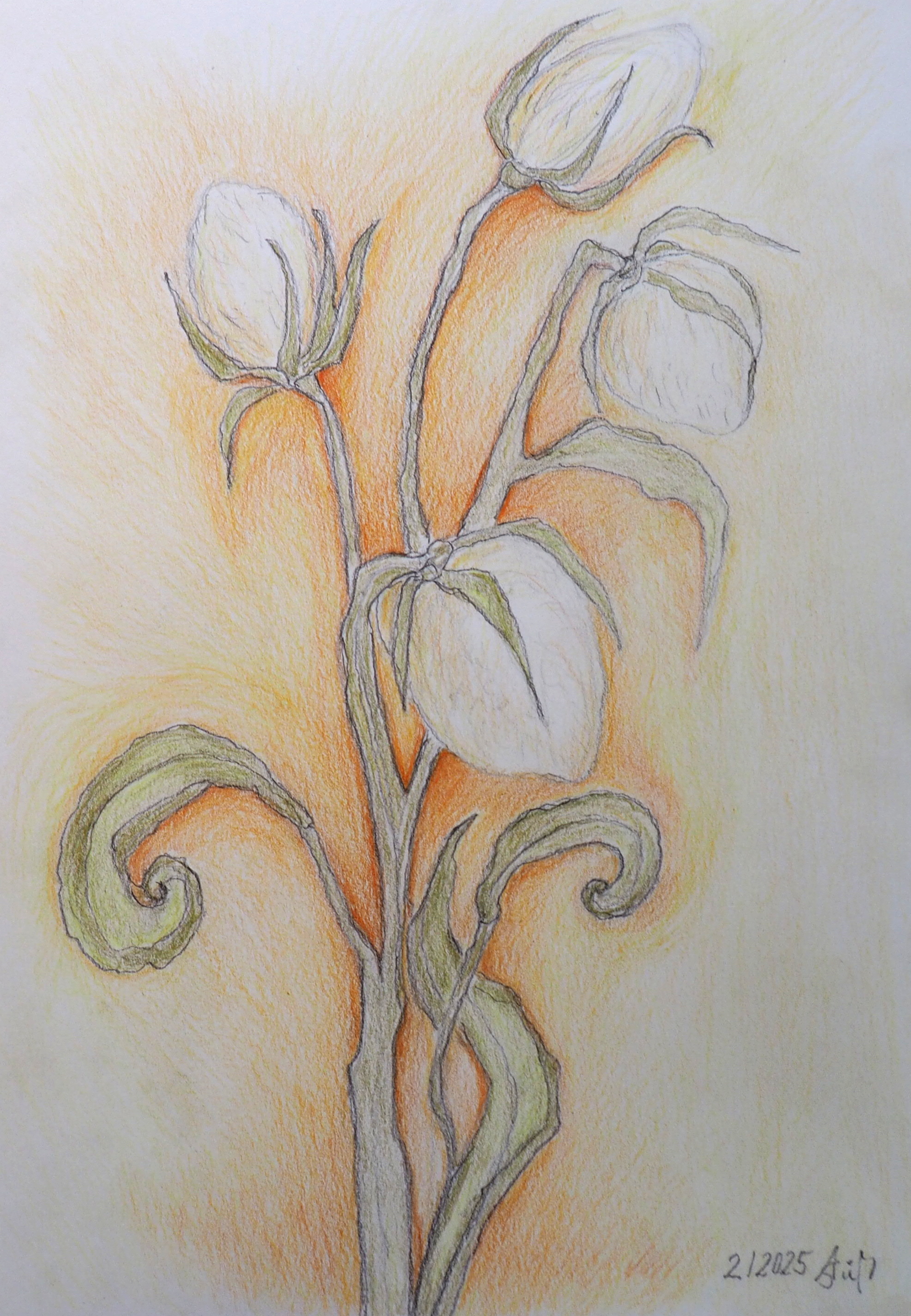 "Kaden" 02/2025, Farbstift auf Karton, 21x30 cm