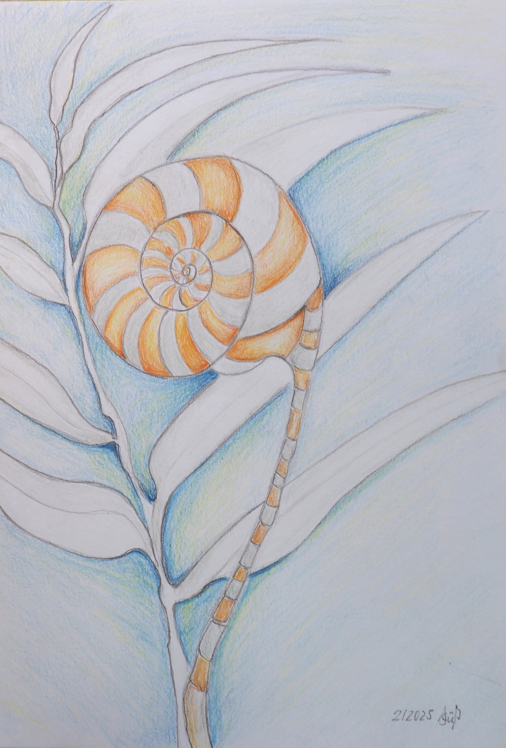 "Farn" 02/2025, Farbstift auf Karton, 21x30 cm